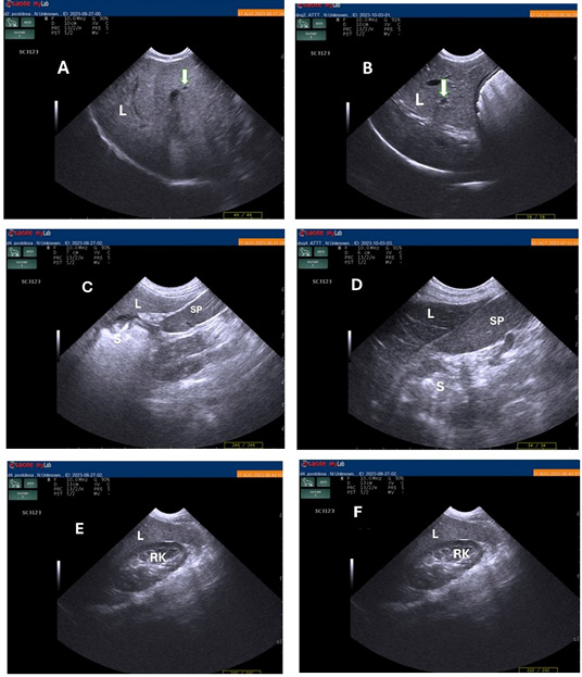 Figure 1: