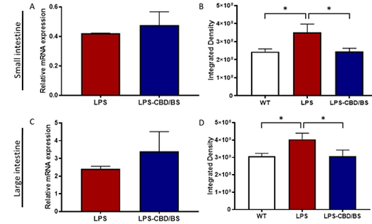 Figure 5:
