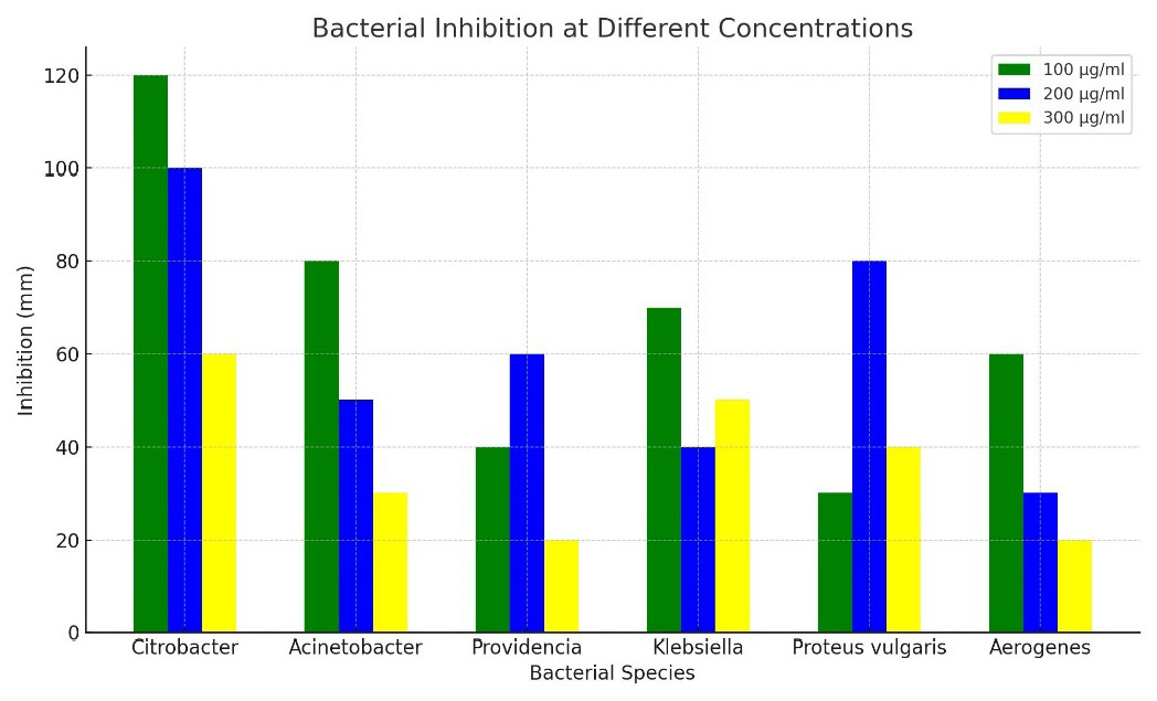 Figure 2: