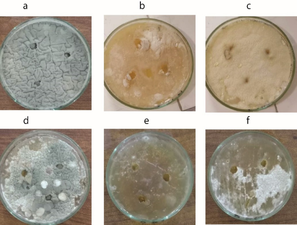Figure 3: