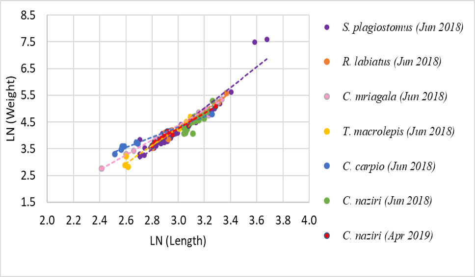Fig. 6.