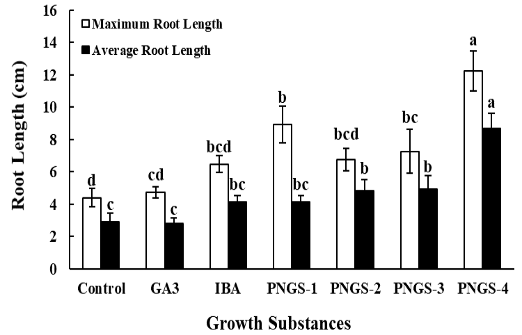 Figure 4: