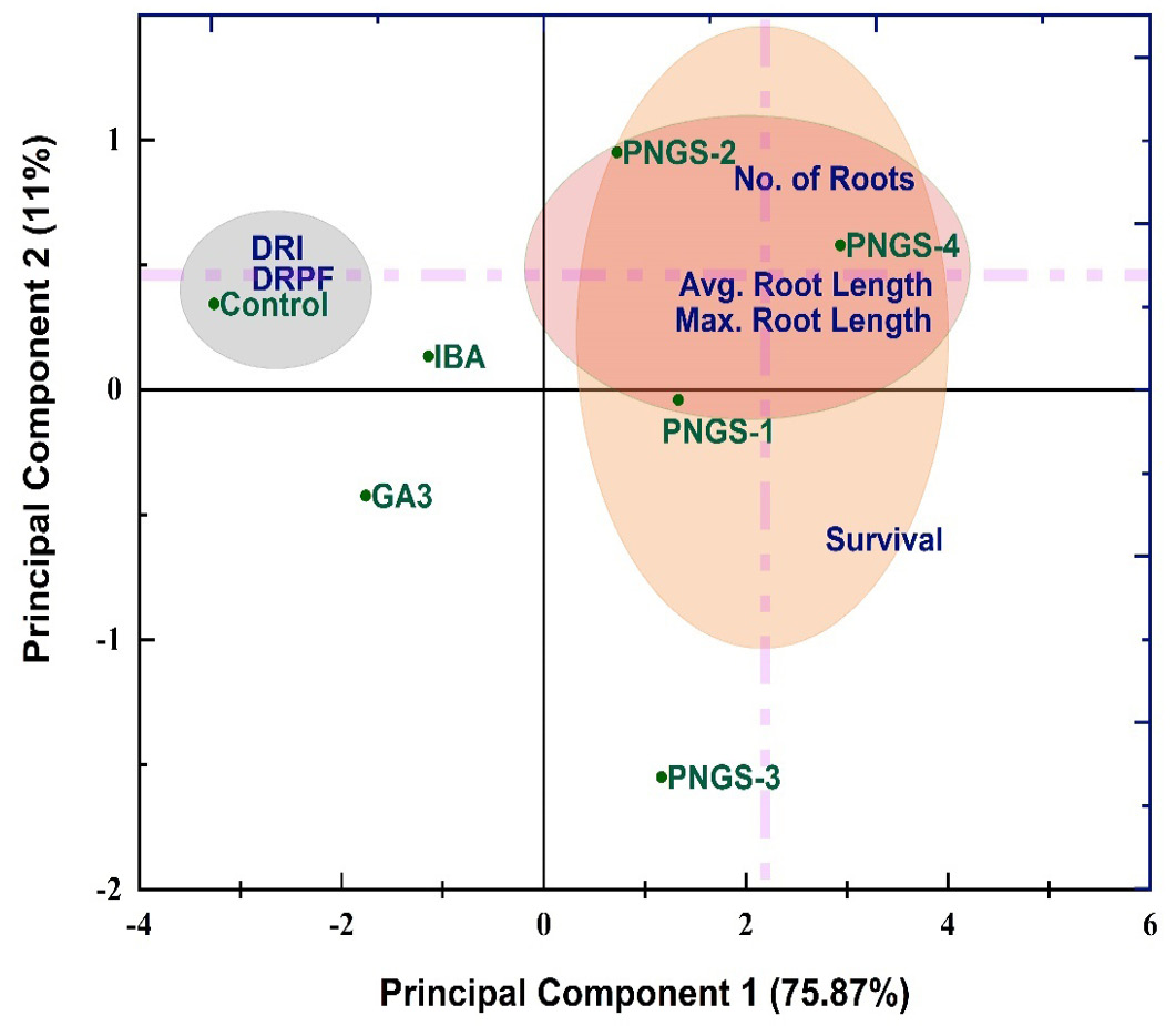 Figure 6:
