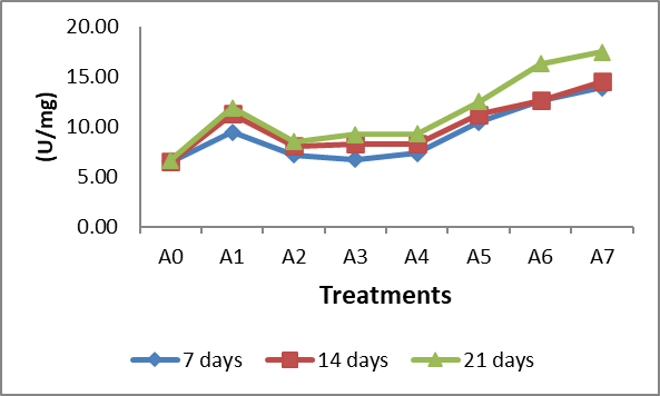 Figure 3: