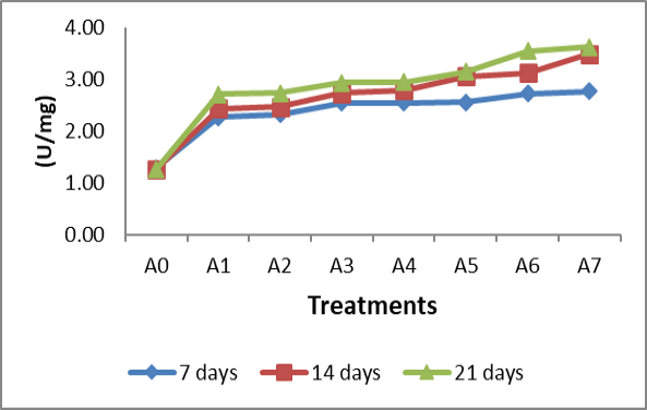 Figure 5: