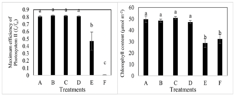 Figure 5: