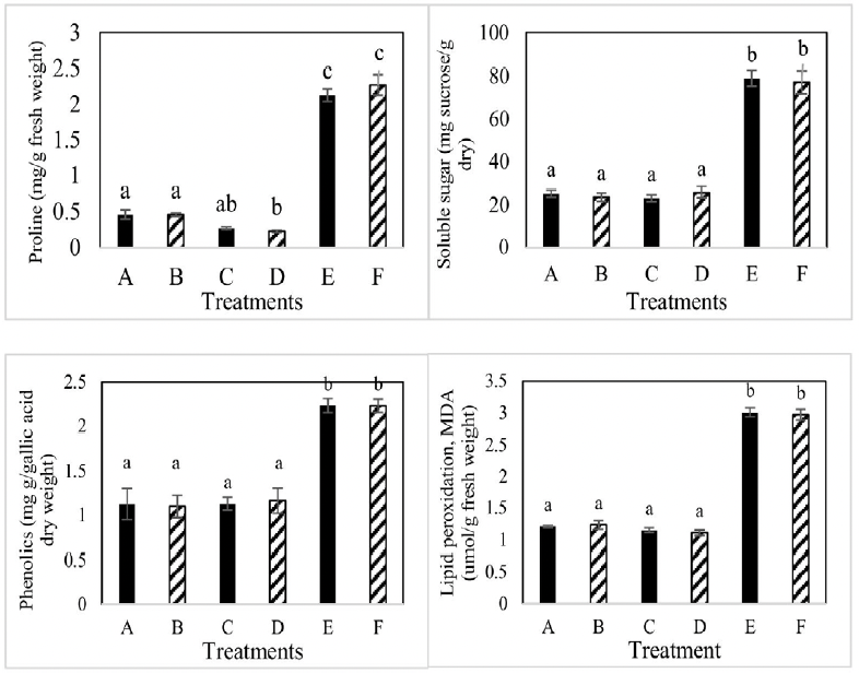 Figure 6: