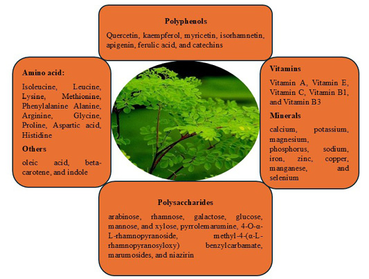 Figure 2: