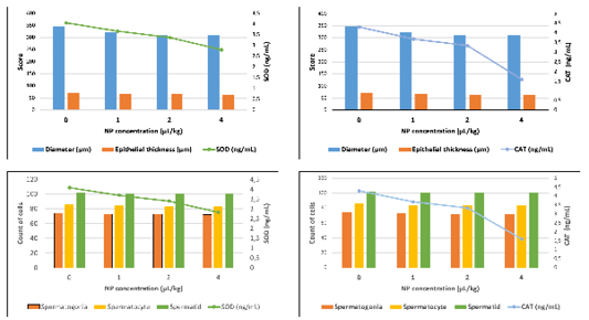 Figure 5: