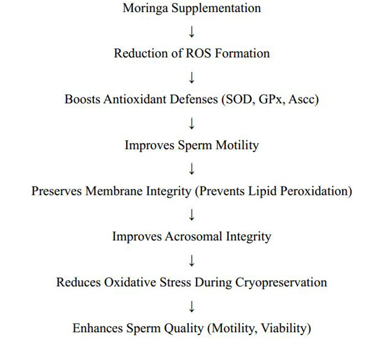 Figure 7: