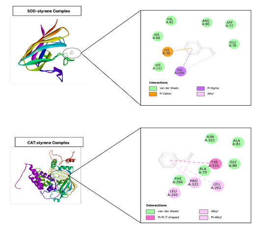 Figure 6: