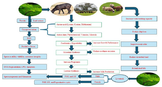 Figure 1: