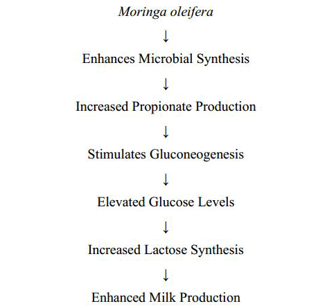 Figure 5: