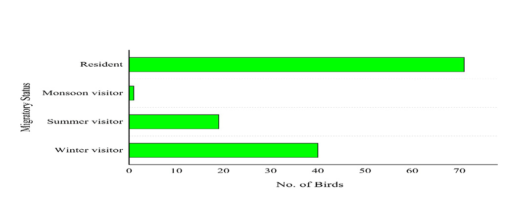 Figure 5:
