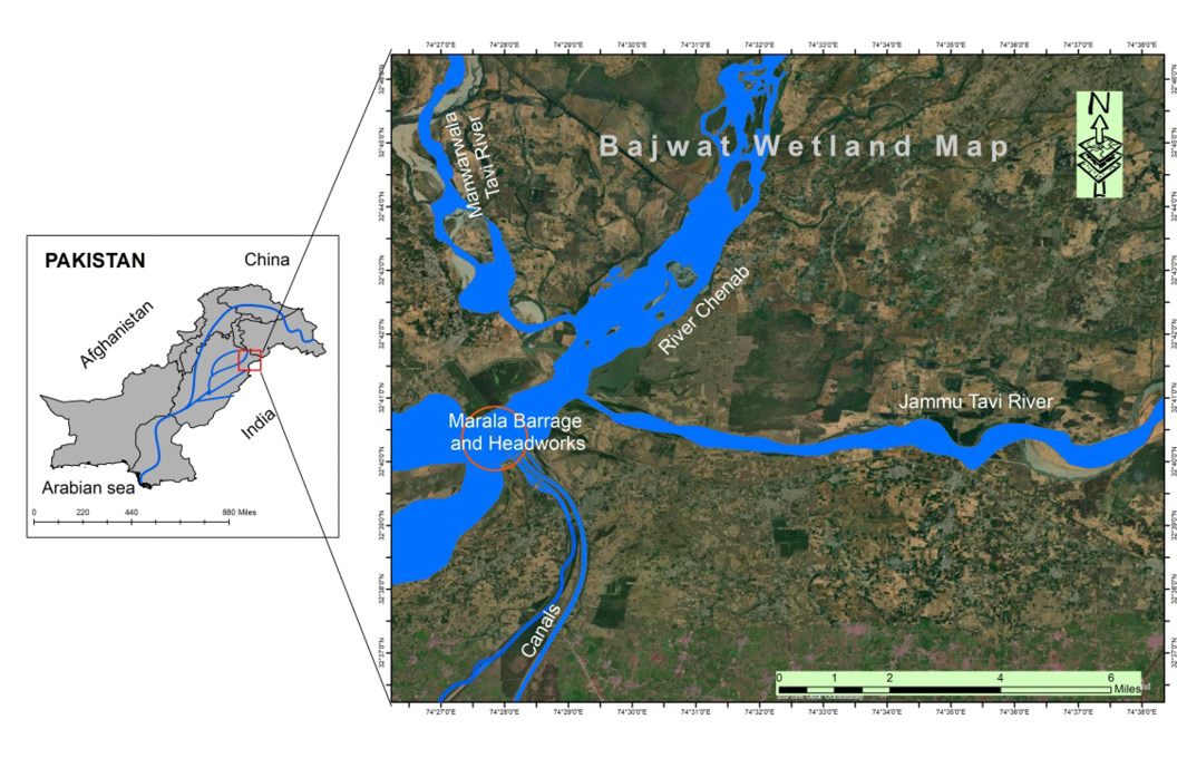 Figure 1: