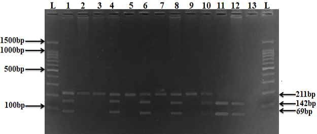 Figure 3: