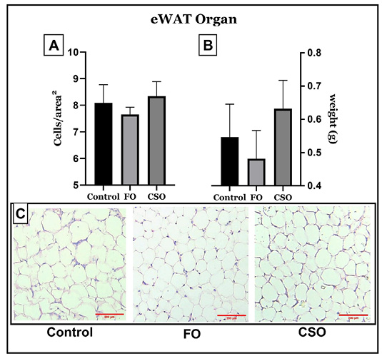 Figure 3: