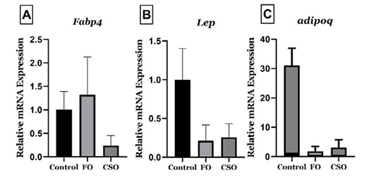 Figure 4: