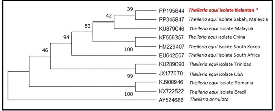 Figure 3: