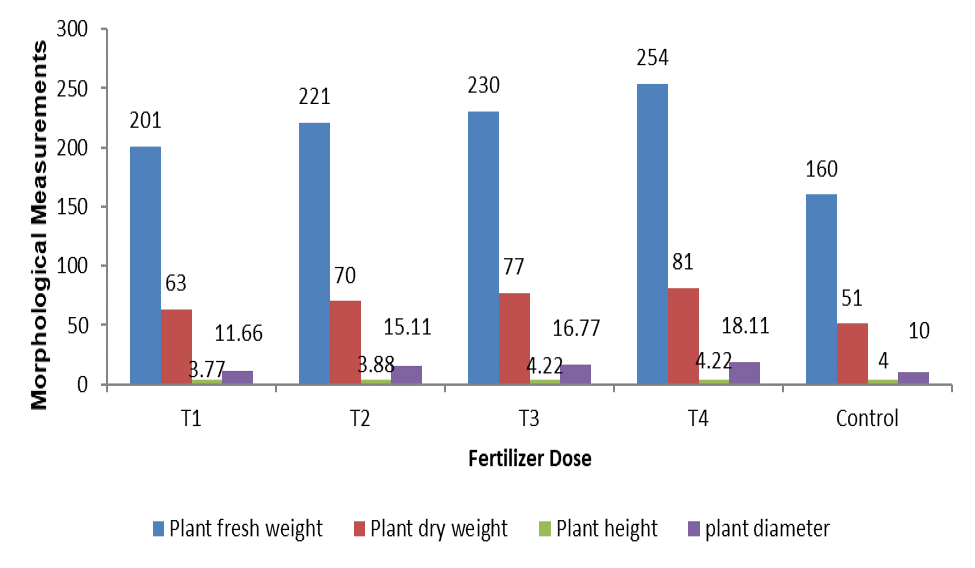Figure 2: