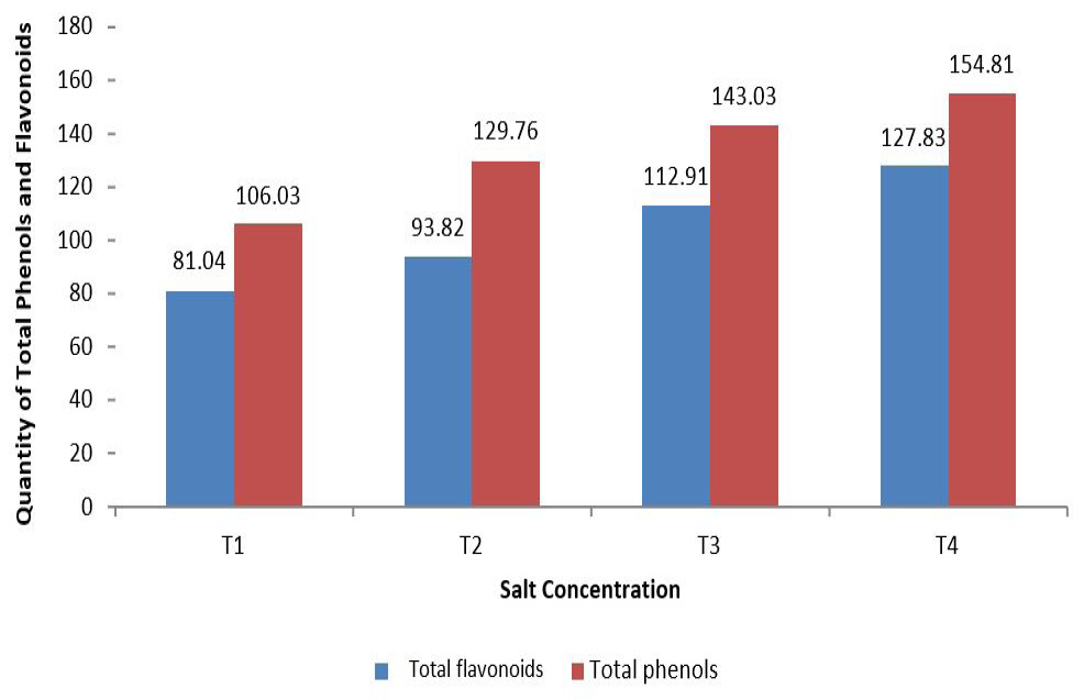 Figure 3: