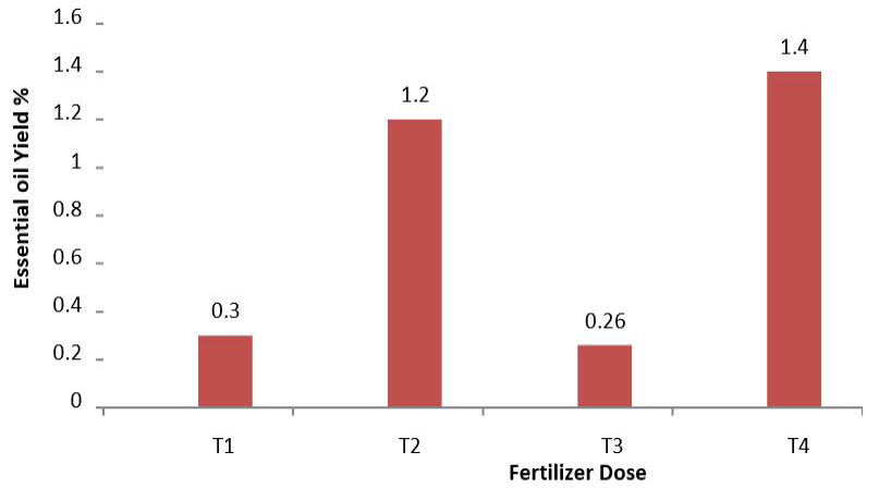 Figure 6: