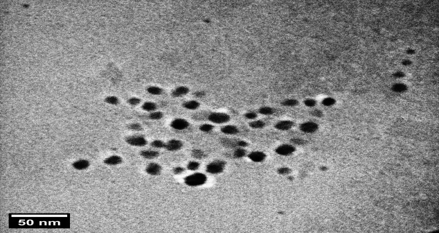 Figure 3: