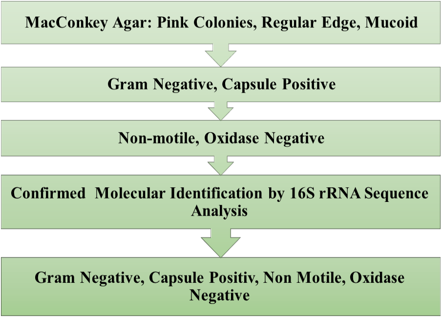 Figure 2: