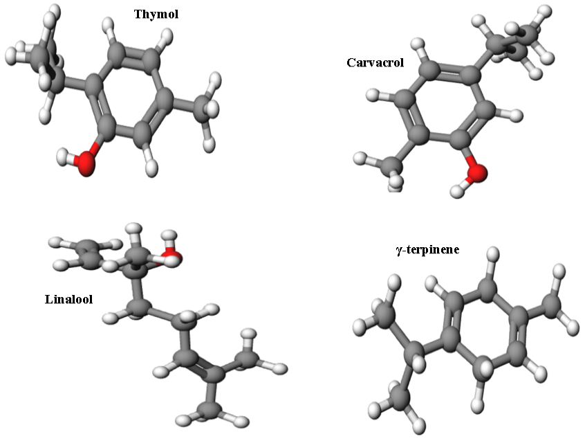 Figure 3: