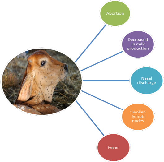 Figure 4: