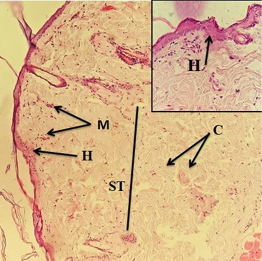 Figure 7: