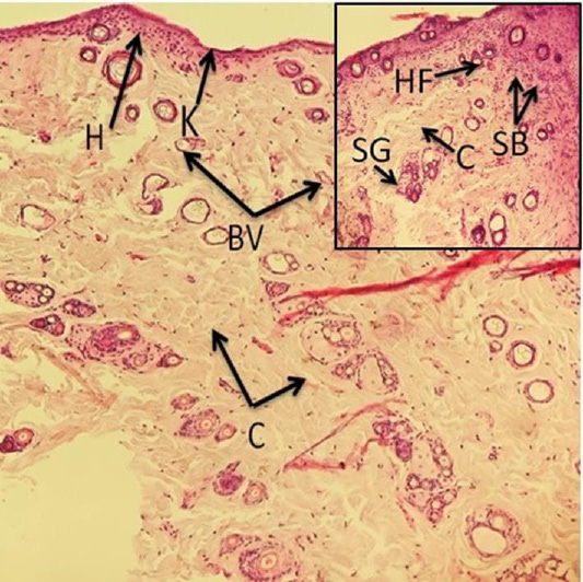 Figure 10: