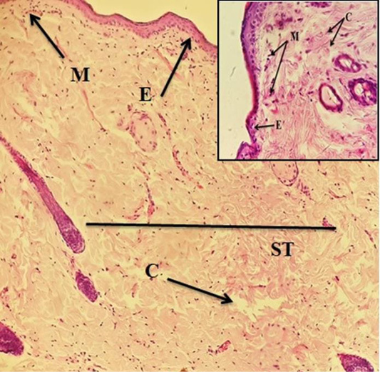 Figure 8: