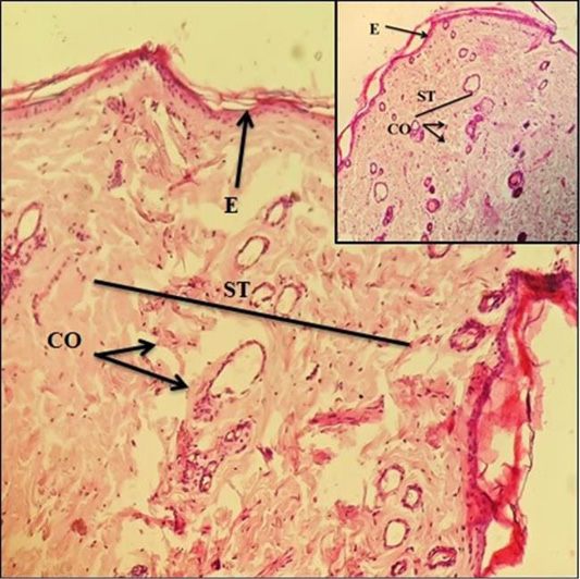 Figure 6: