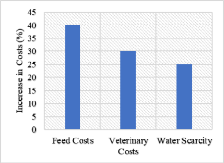 Figure 5: