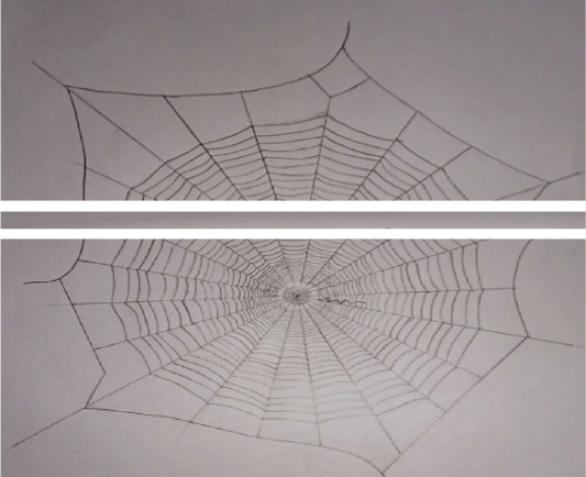 Figure 5: