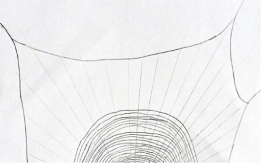 Figure 7: