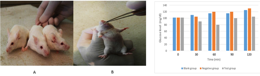 Fig. 9.