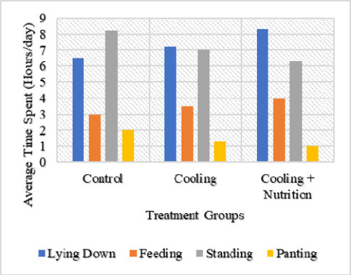 Figure 4:
