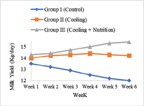 Figure 3: