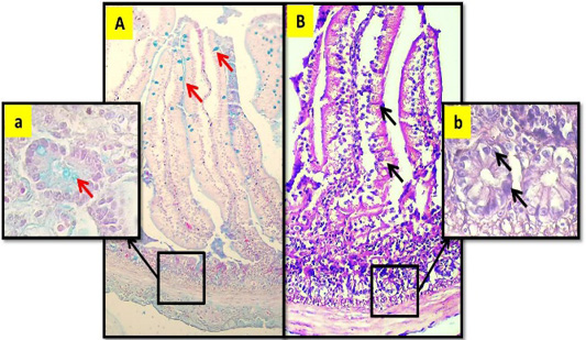 Figure 9: