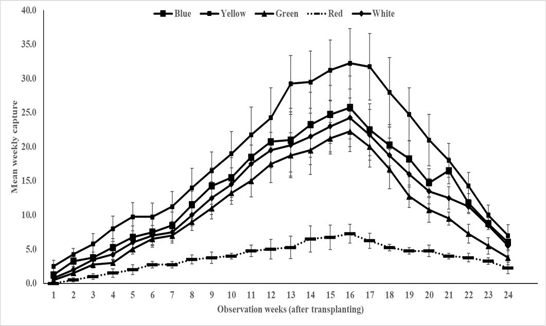 Figure 2: