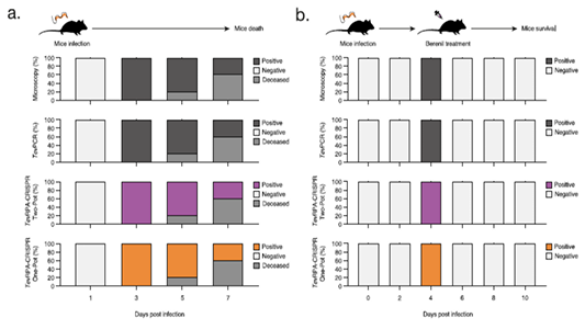 Figure 3: