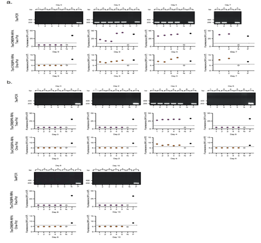 Figure 4: