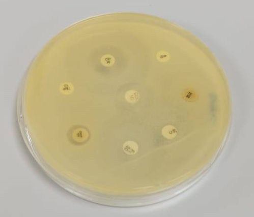 Figure 2: