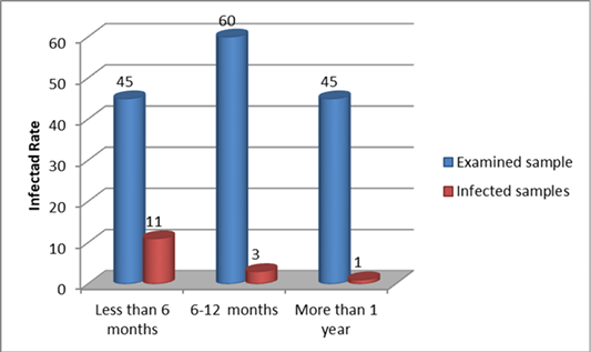 Figure 3: