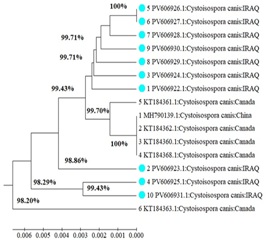Figure 4: