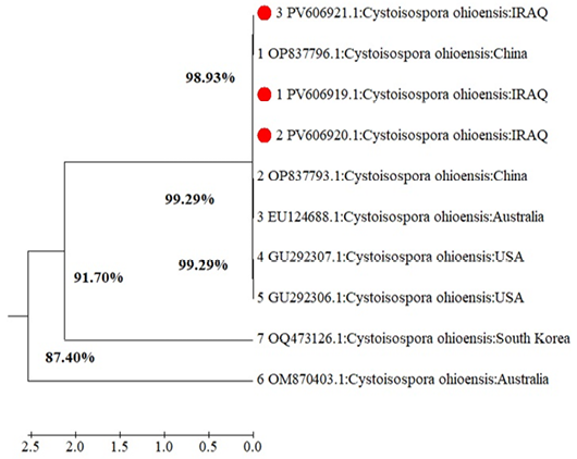 Figure 5: