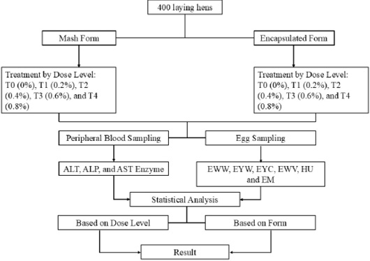 Figure 2: