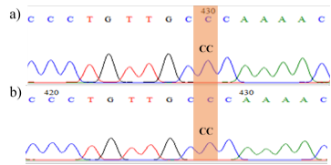 Figure 4: